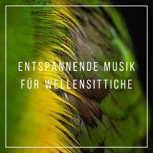 Beruhigende Atmosphäre