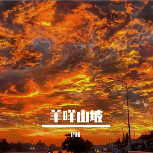 敢想敢闯