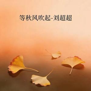 等秋风吹起 (DJ霜柱版)