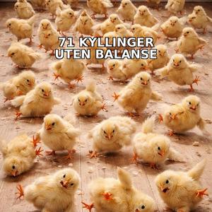 71 Kyllinger uten balanse