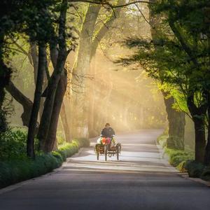 不晚-简单的快乐（不晚 remix）