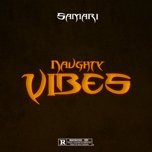 Naughty Vibes
