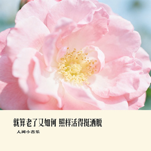 就算老了又如何 照样活得挺洒脱