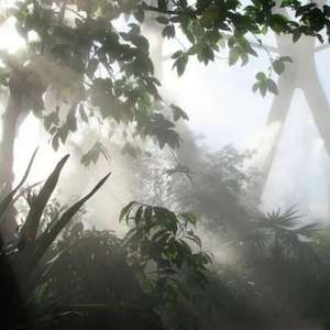 笨笨的简单真诚