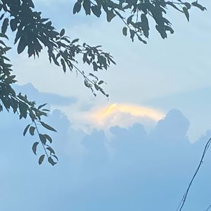 烟圈里的谎话LYJ