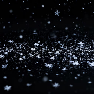 牟定不下雪的冬