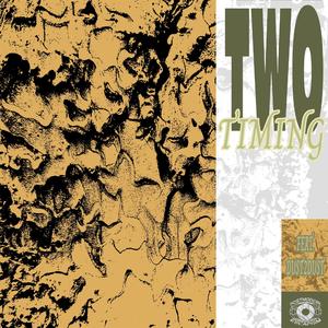 Two Timing (feat. dust2dust)