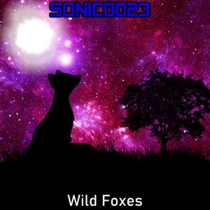 Wild Foxes