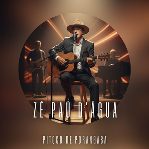 Zé Paú D'água