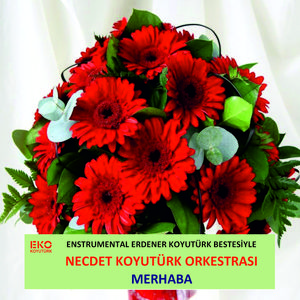 Merhaba (Enstrümantal)