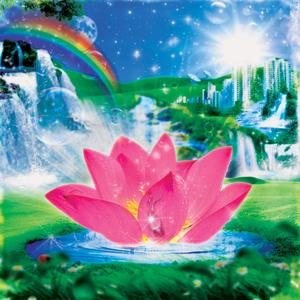 Lotus