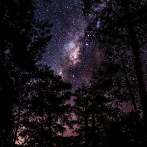 星夜的舞者（瑜伽馆安静舒适钢琴曲）