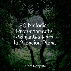 En Lo Profundo De Las Cuevas