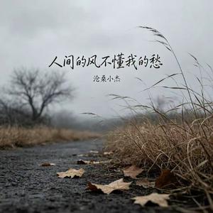 人间的风不懂我的愁