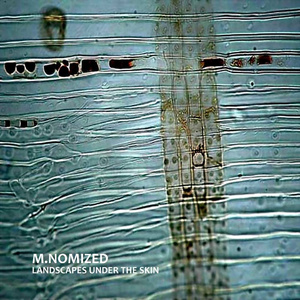 Under The Skin (Part 2)