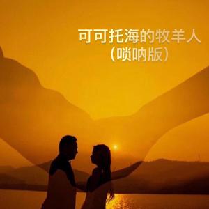 程宏-可可托海的牧羊人（唢呐版）（司空翊烈 remix）