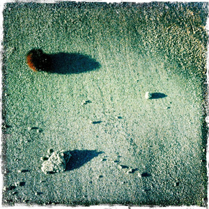 She Smiles and Waves Hello to Everyone She Sees