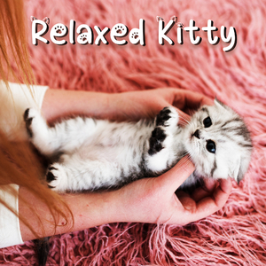 Relaxing Cat Music