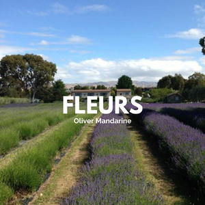 Fleurs