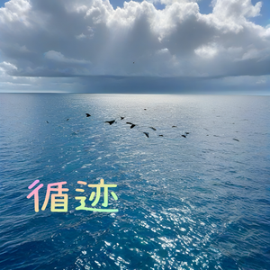 循迹