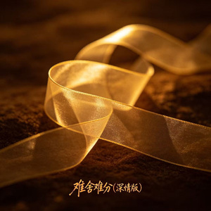 难舍难分(深情版)
