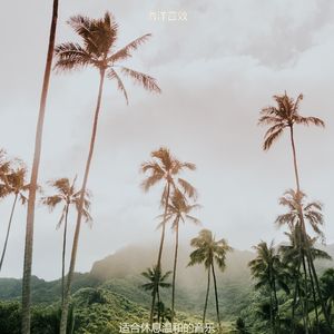 适合静止愉悦的音乐