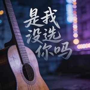 是我没选你吗.mp3