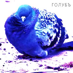 ГОЛУБЪ
