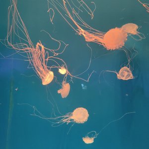 每一次挣扎成就新自我