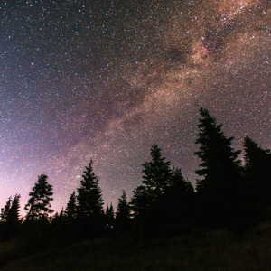 Elastic Heart (Nightcore)