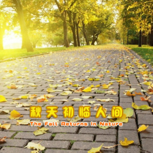 我怎么变这样了