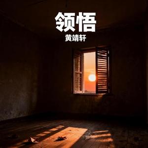 领悟 (Cover 辛晓琪)