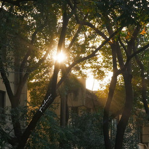 Differences（翻自 我就是然然）