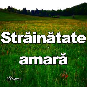 Străinătate amară
