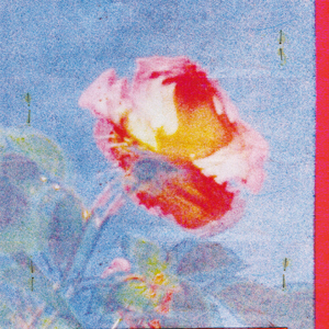 Rhodes (feat. どんぐりず)