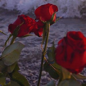 千里行走（吉他弹唱）