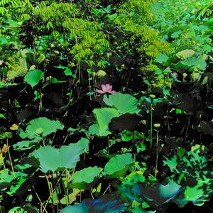 1001首情歌(PROD.BY JUN3)