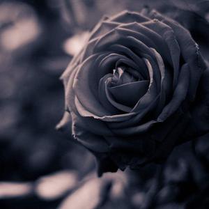 真恶心2.0 [prod by Lv9]