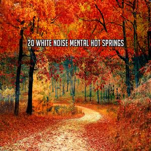 白噪声疗法；雨声;埃尔鲁伊多布兰科