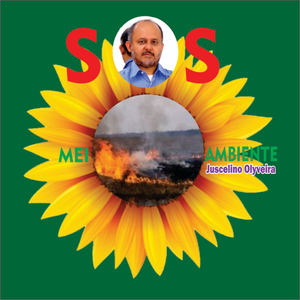 Sustentabilidade Em 3rs