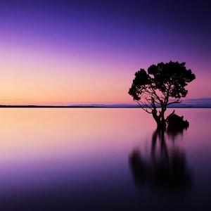 潜意识睡眠疗法 阿尔法脑波音乐