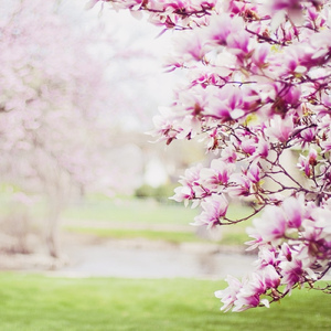 春の園 第一楽章