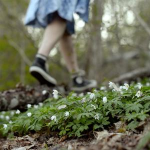 Tanssi Mun Kaa (feat. Organ!k)