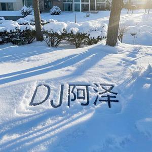 不需要挽留（DJ版）