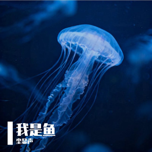 我是鱼