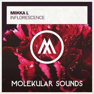 Inflorescence (Extended Mix)