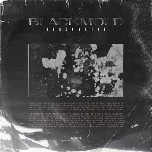 BlackMold