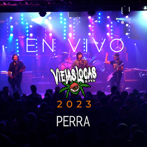 Perra (En Vivo)