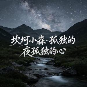 孤独的夜孤独的心