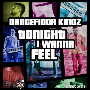 Tonight I Wanna Feel (Vankilla Vs Benjiro Remix)